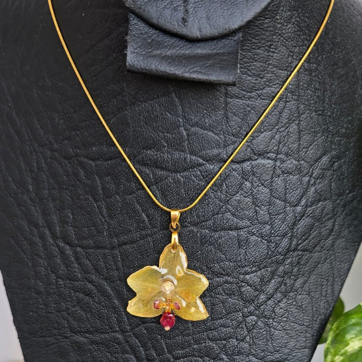 Collar orquídea Phalaenopsis mini