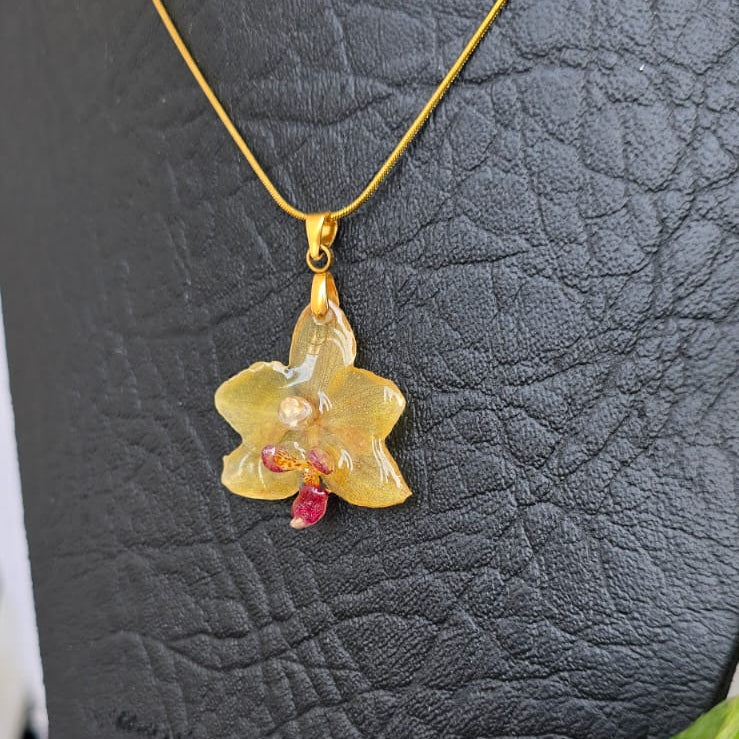 Collar orquídea Phalaenopsis mini