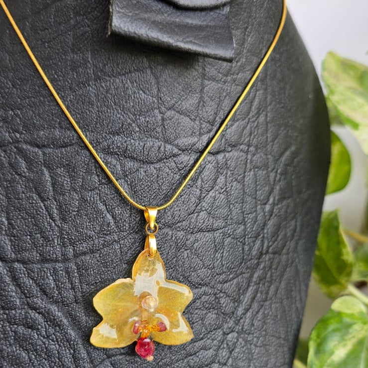 Collar orquídea Phalaenopsis mini