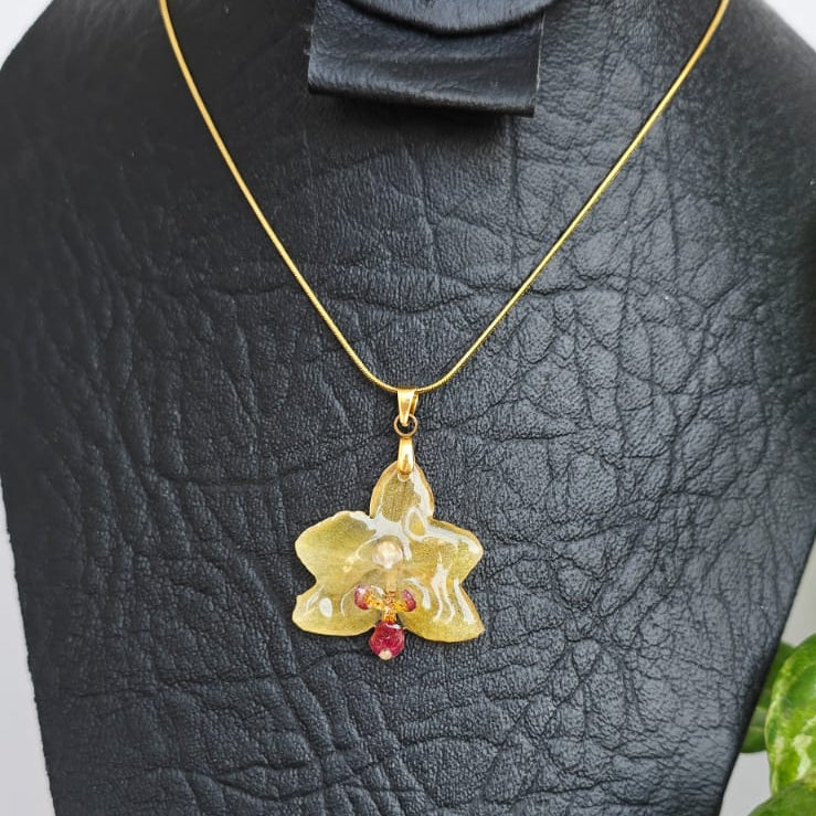 Collar orquídea Phalaenopsis mini