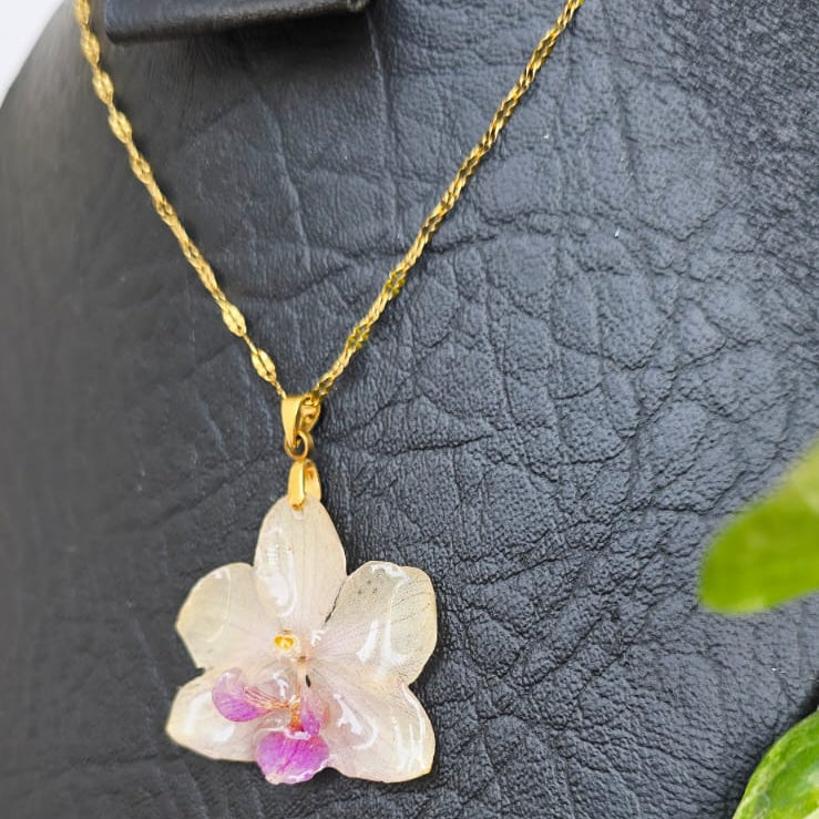 Collar orquídea Phalaenopsis mini