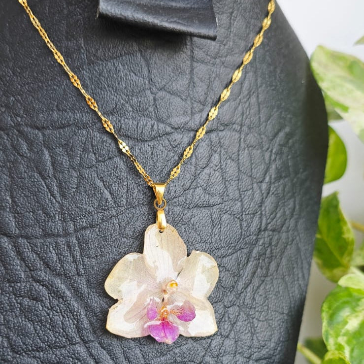 Collar orquídea Phalaenopsis mini