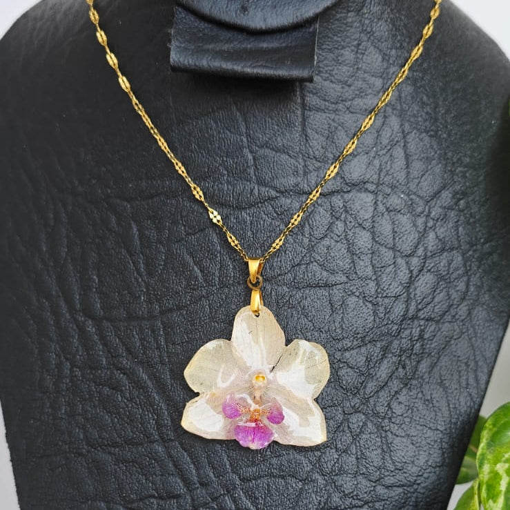 Collar orquídea Phalaenopsis mini