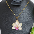 Collar orquídea Phalaenopsis mini