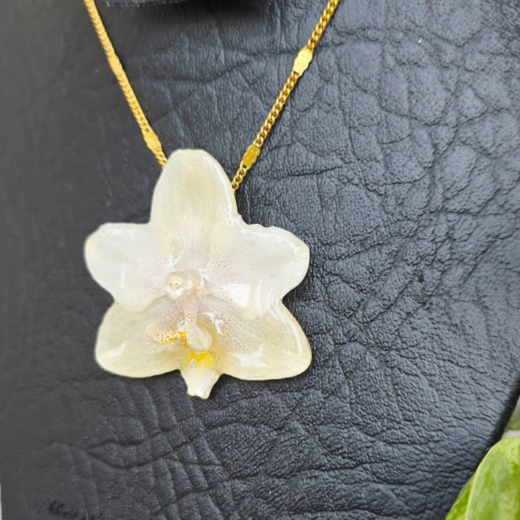 Collar orquídea Phalaenopsis mini