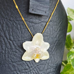 Collar orquídea Phalaenopsis mini