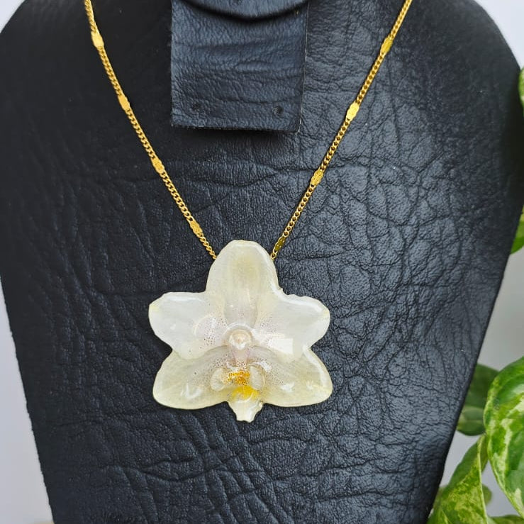 Collar orquídea Phalaenopsis mini