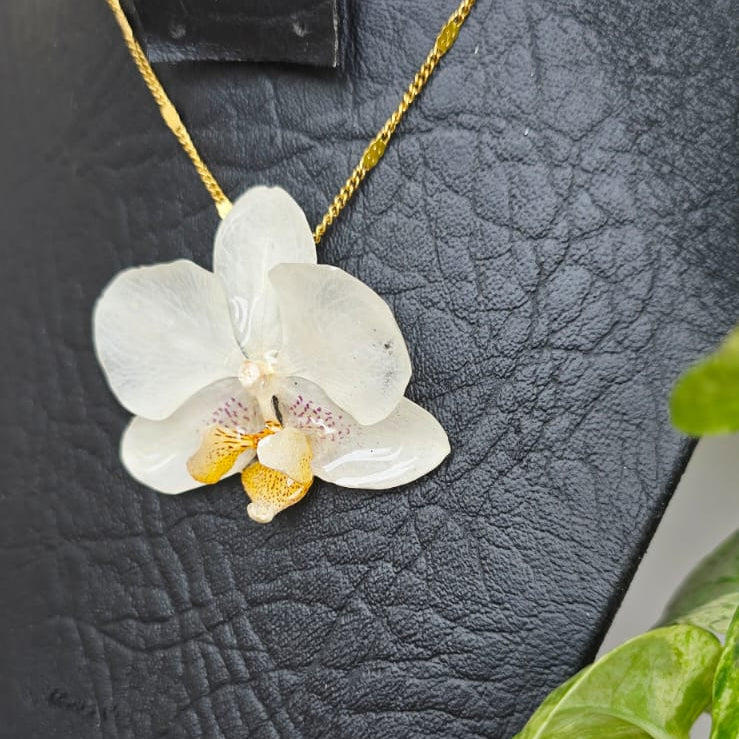 Collar orquídea Phalaenopsis mini
