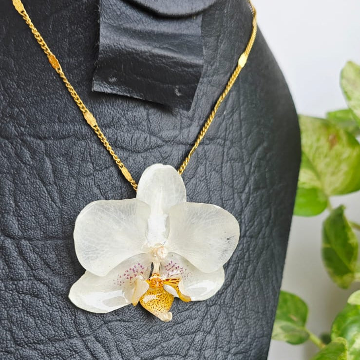 Collar orquídea Phalaenopsis mini