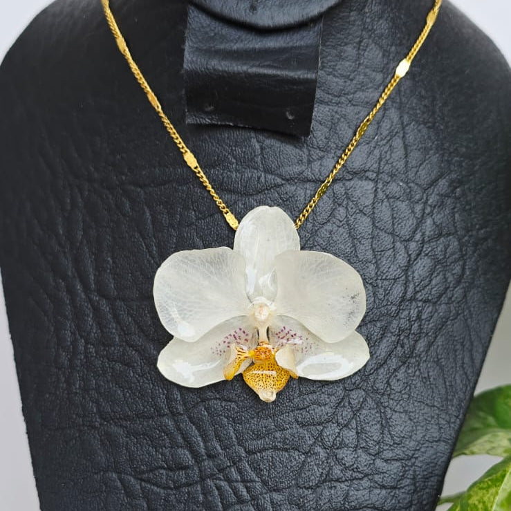 Collar orquídea Phalaenopsis mini