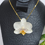 Collar orquídea Phalaenopsis mini