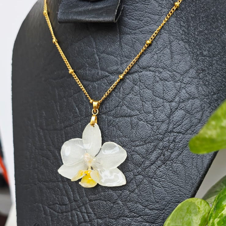 Collar orquídea Phalaenopsis mini