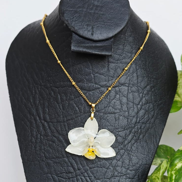 Collar orquídea Phalaenopsis mini