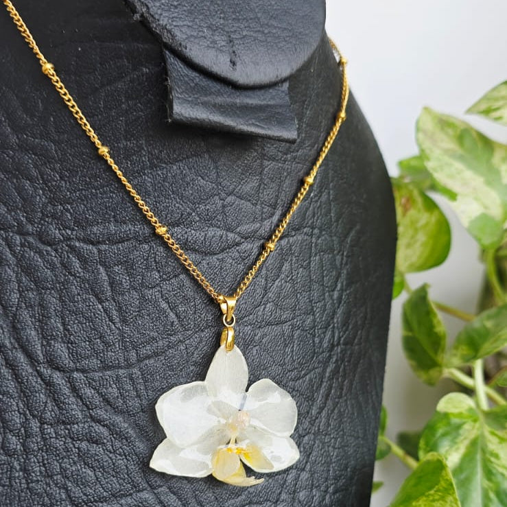 Collar orquídea Phalaenopsis mini