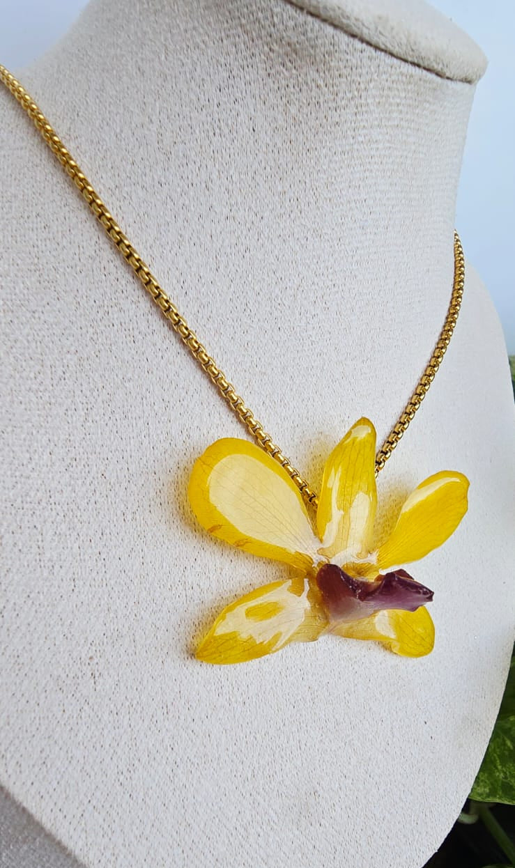 Orquídea Dendrobium Amarillo Tropical