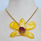 Orquídea Dendrobium Amarillo Tropical
