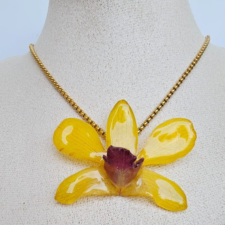 Orquídea Dendrobium Amarillo Tropical