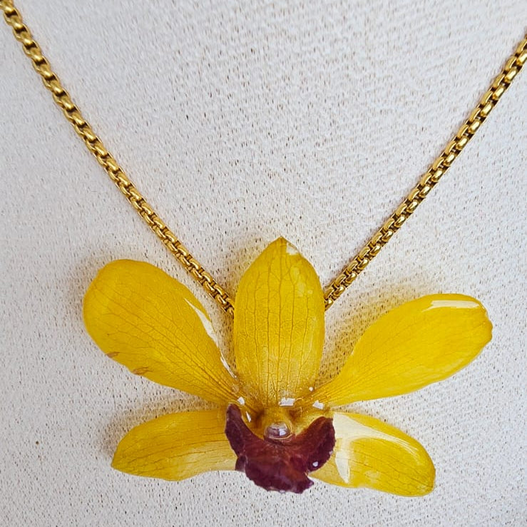 Orquídea Dendrobium Amarillo Tropical