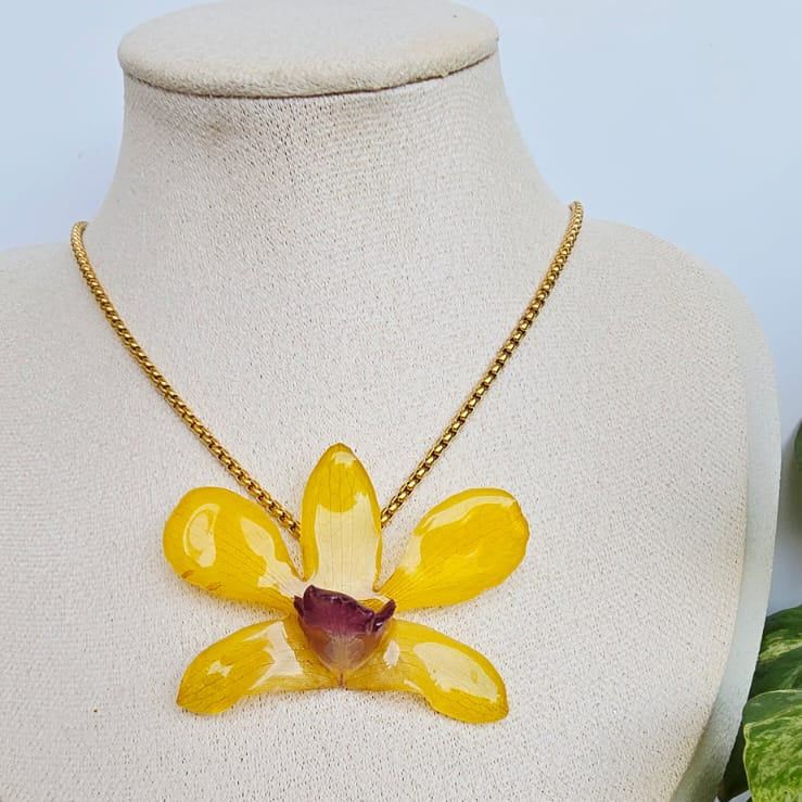 Orquídea Dendrobium Amarillo Tropical