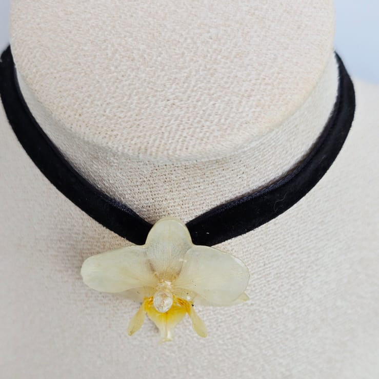 Chocker orquída mini