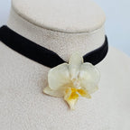 Chocker orquída mini