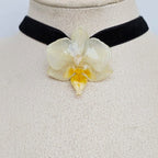 Chocker orquída mini