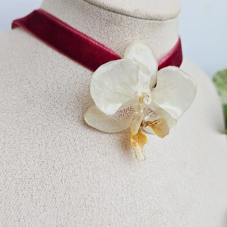 Chocker orquída mini