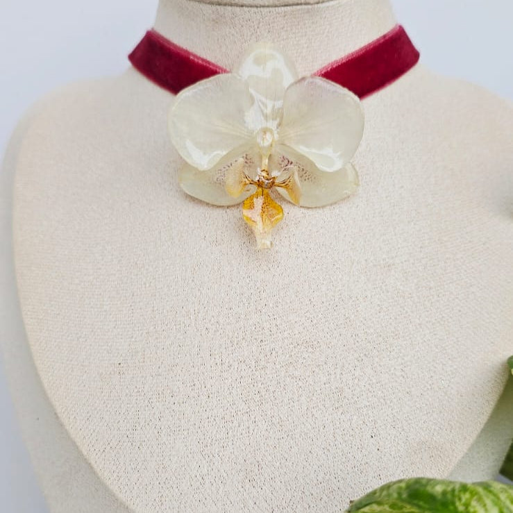 Chocker orquída mini