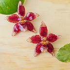 Topos orquídea Odontoglossum