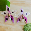 Topos orquídea Odontoglossum