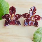 Topos orquídea Odontoglossum