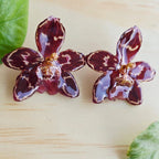 Topos orquídea Odontoglossum