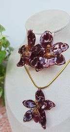 Conjunto Odontoglossum