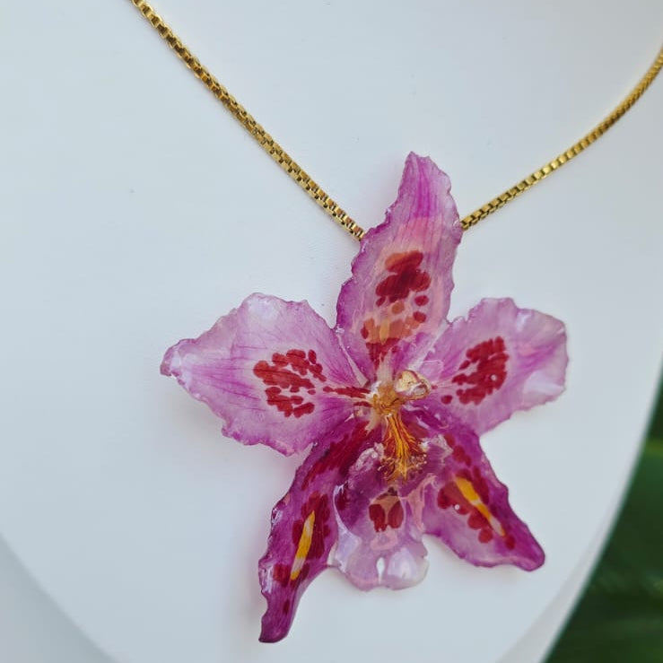 Collar orquídea Odontoglossum