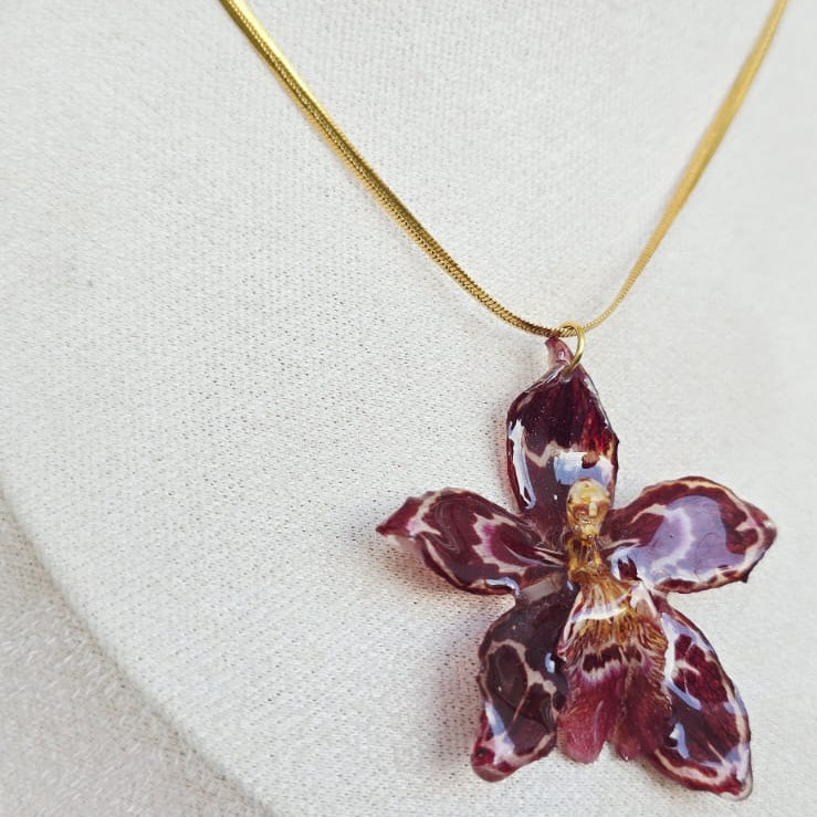 Collar orquídea Odontoglossum