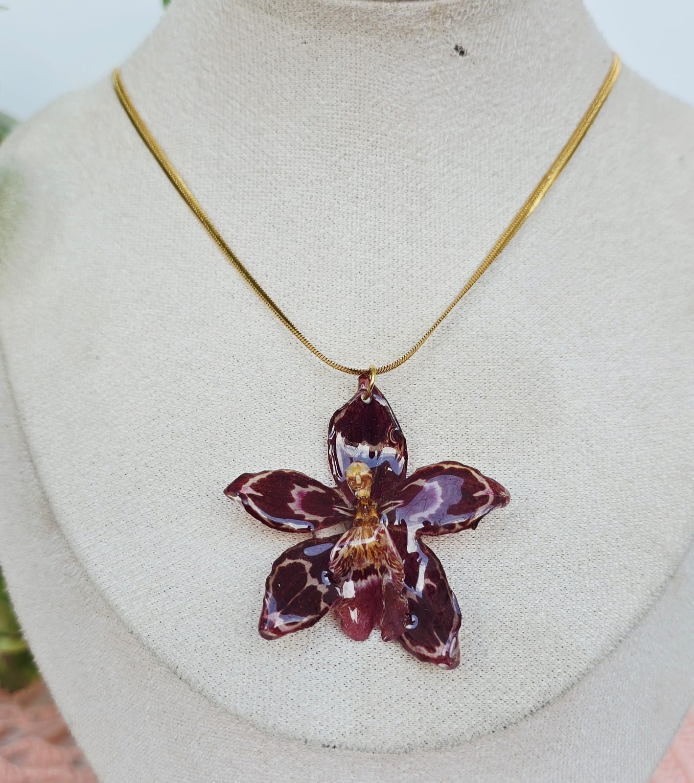Collar orquídea Odontoglossum
