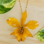 Collar orquídea híbrido Cattleya