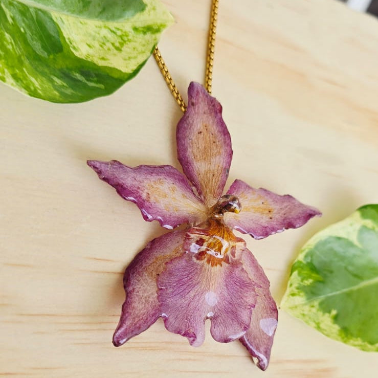 Collar orquídea Odontoglossum