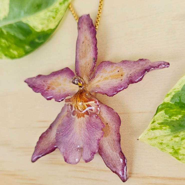 Collar orquídea Odontoglossum