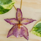 Collar orquídea Odontoglossum