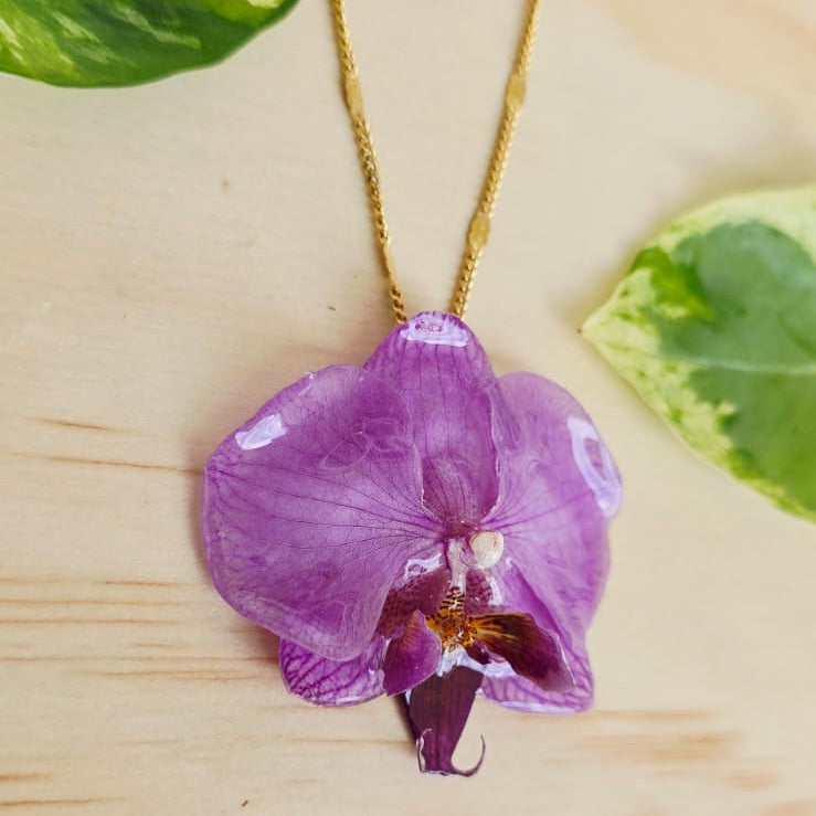 Collar de orquídea Phalaenopsis mini