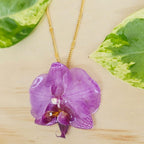 Collar de orquídea Phalaenopsis mini