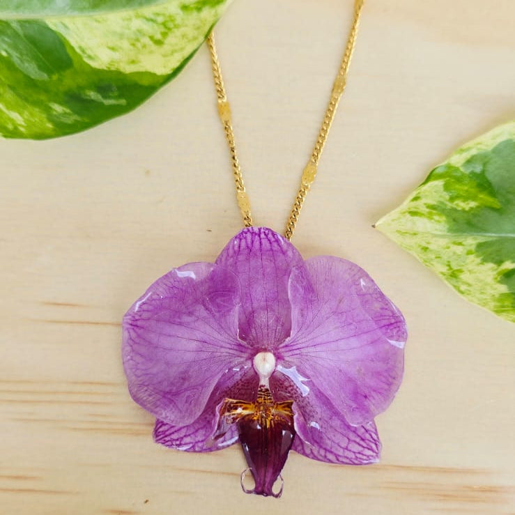 Collar de orquídea Phalaenopsis mini