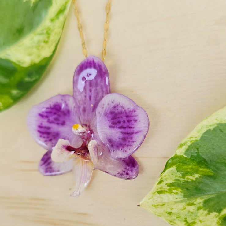 Collar de orquídea Phalaenopsis mini