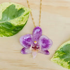 Collar de orquídea Phalaenopsis mini