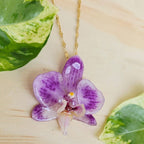 Collar de orquídea Phalaenopsis mini