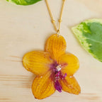 Collar de orquídea Phalaenopsis mediana