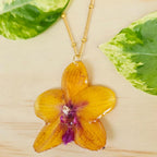 Collar de orquídea Phalaenopsis mediana