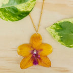 Collar de orquídea Phalaenopsis mediana