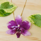 Collar de orquídea Phalaenopsis mediana